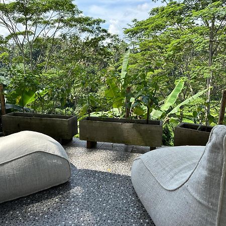 Tirta Asri Ubud Villa Kültér fotó