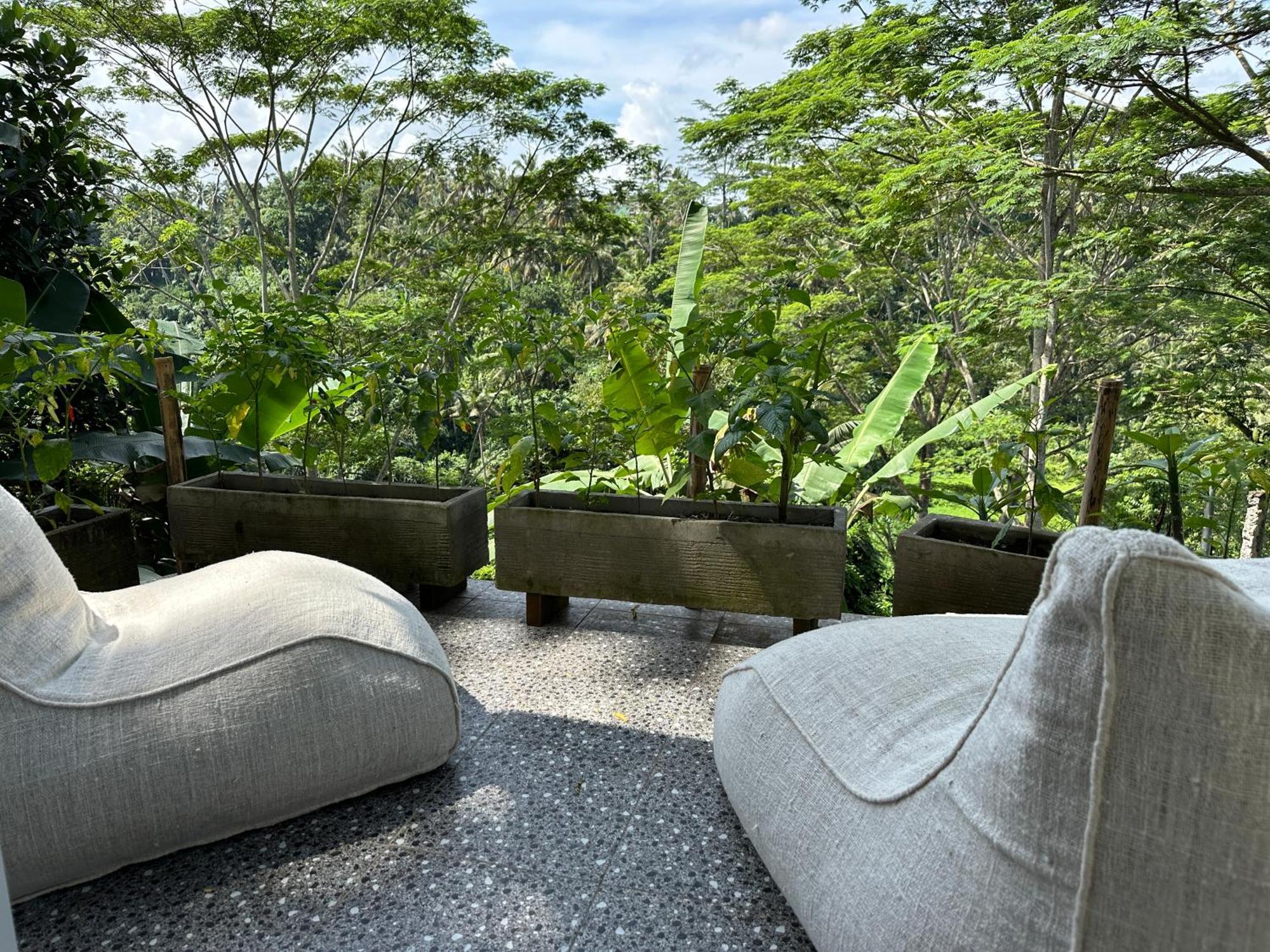 Tirta Asri Ubud Villa Kültér fotó