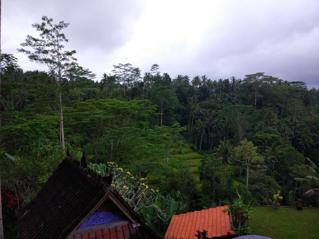 Tirta Asri Ubud Villa Kültér fotó