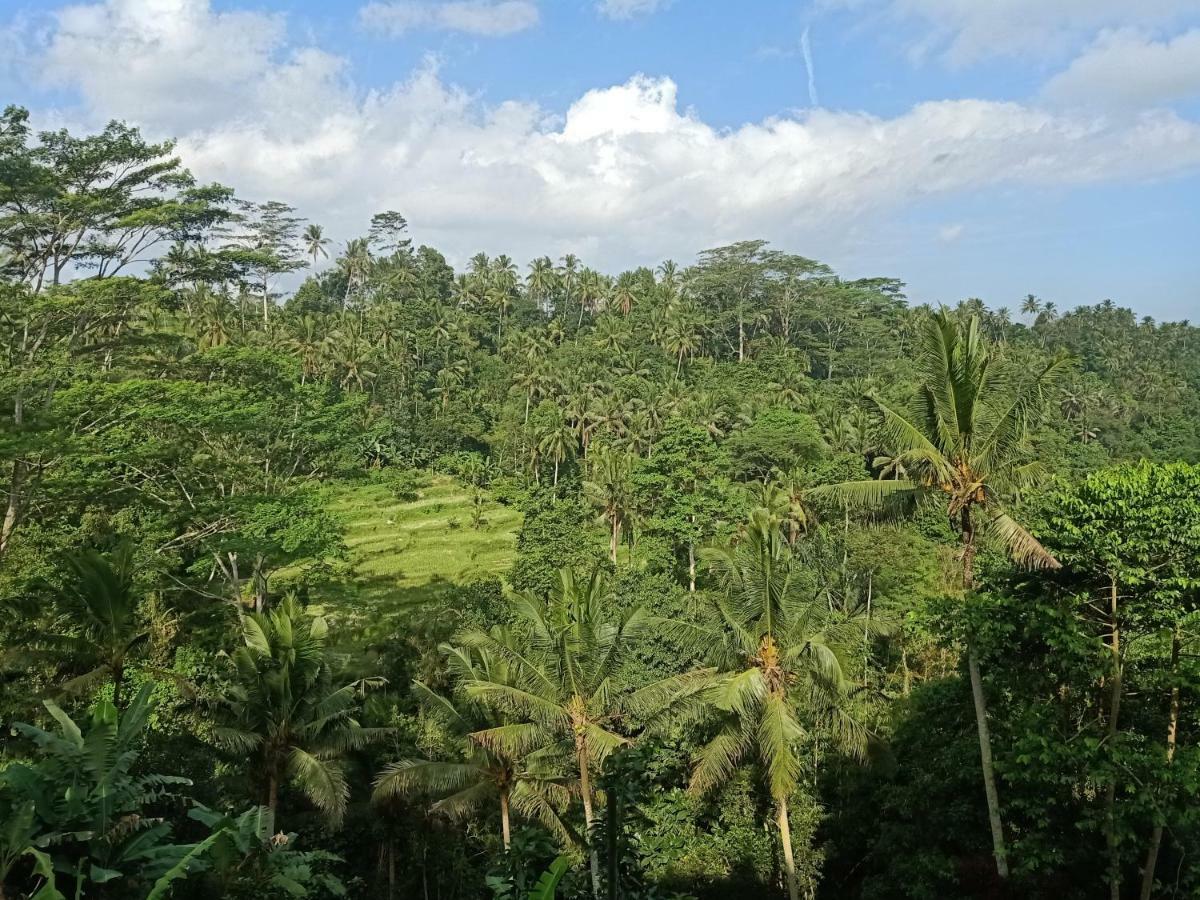 Tirta Asri Ubud Villa Kültér fotó