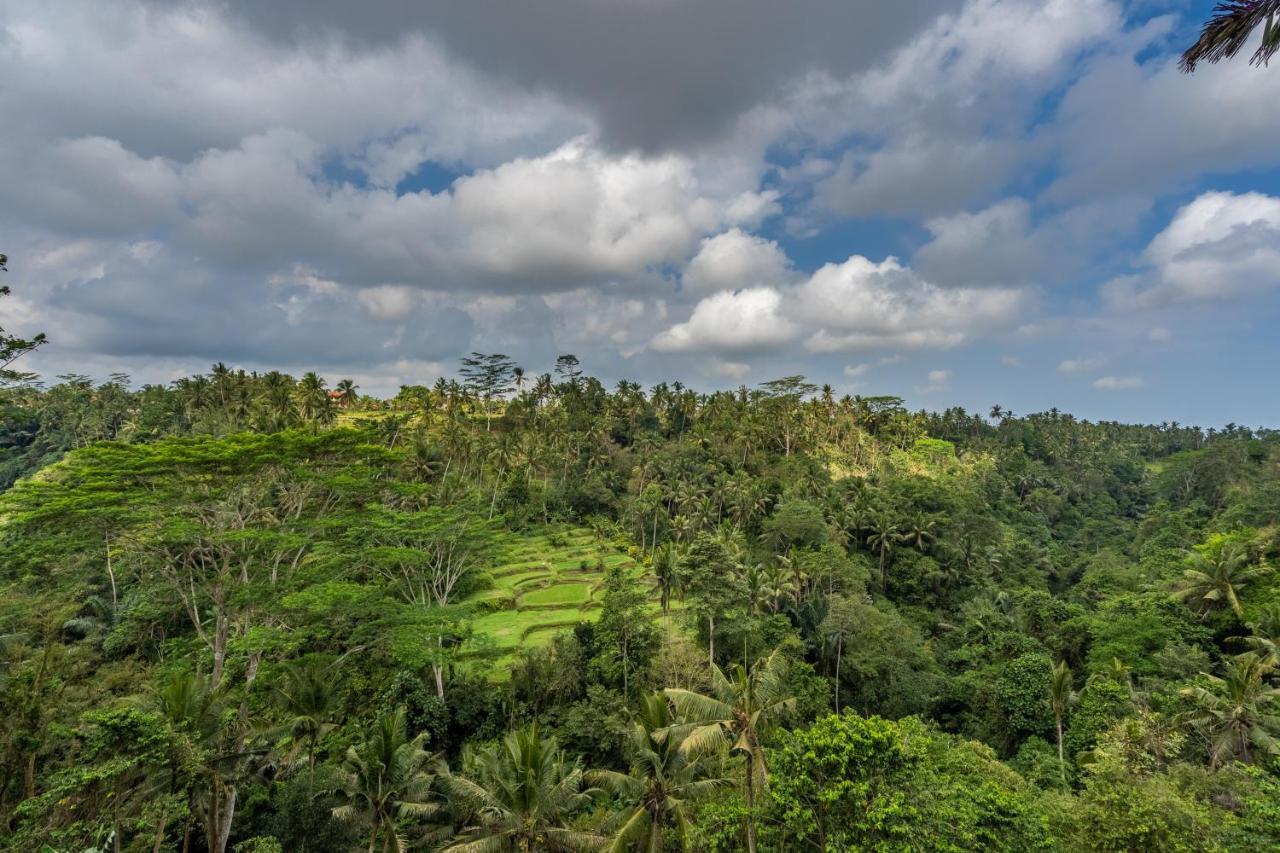 Tirta Asri Ubud Villa Kültér fotó