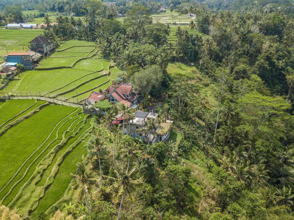 Tirta Asri Ubud Villa Kültér fotó